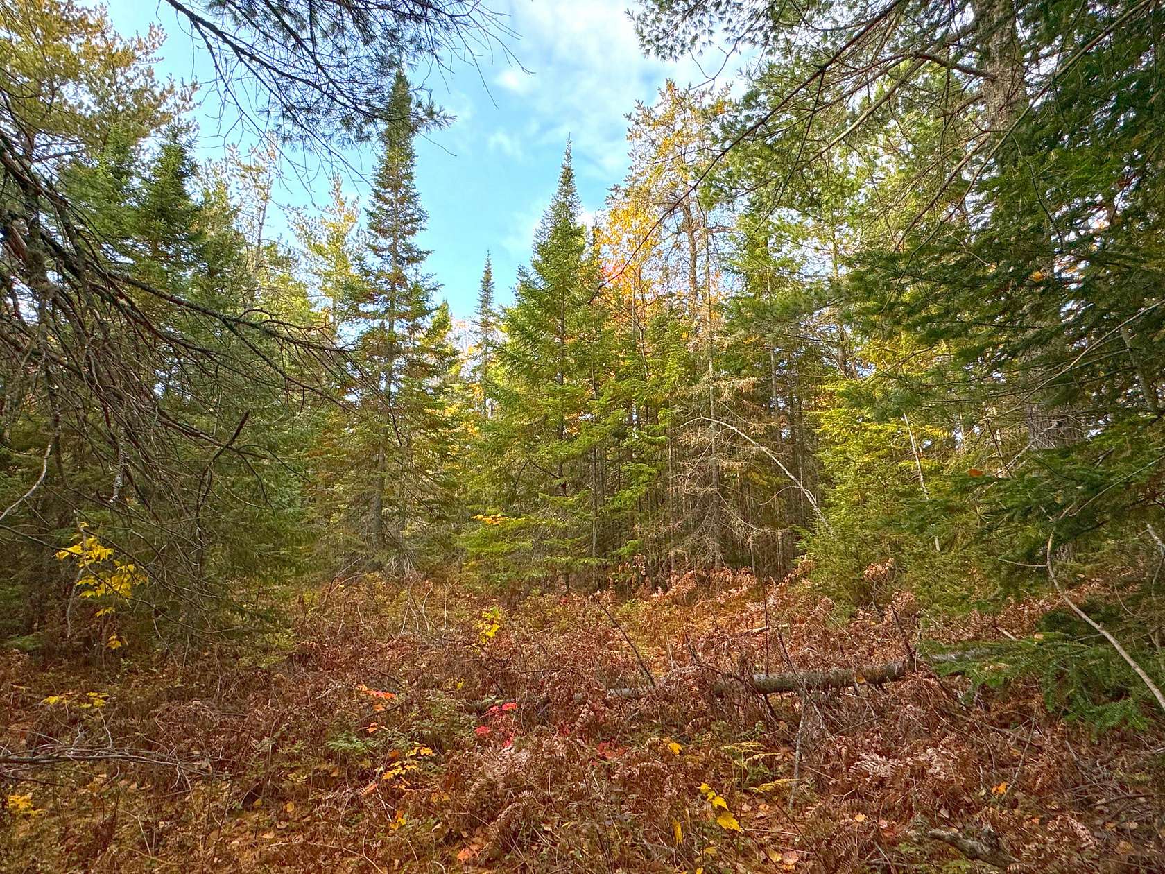 3.47 Acres of Land for Sale in Paradise, Michigan