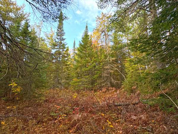 3.47 Acres of Land for Sale in Paradise, Michigan