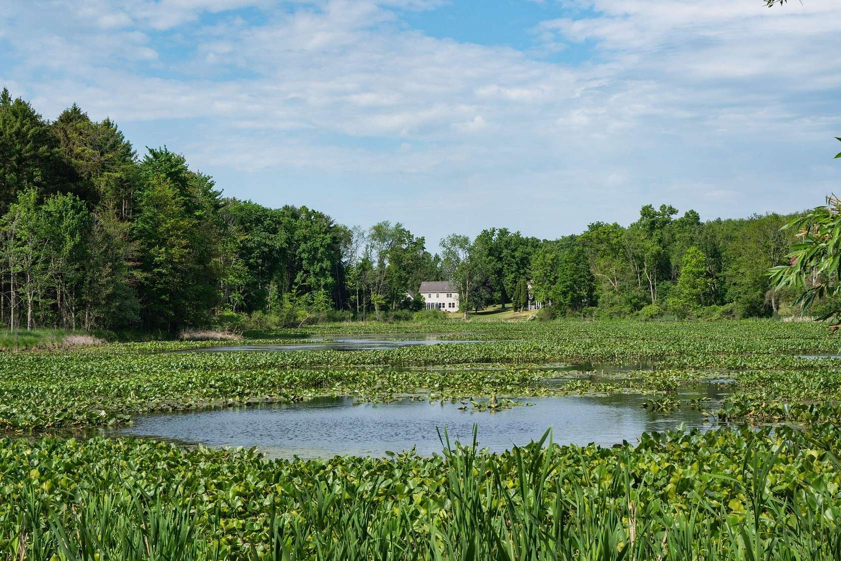 3.28 Acres of Residential Land for Sale in Richland, Michigan