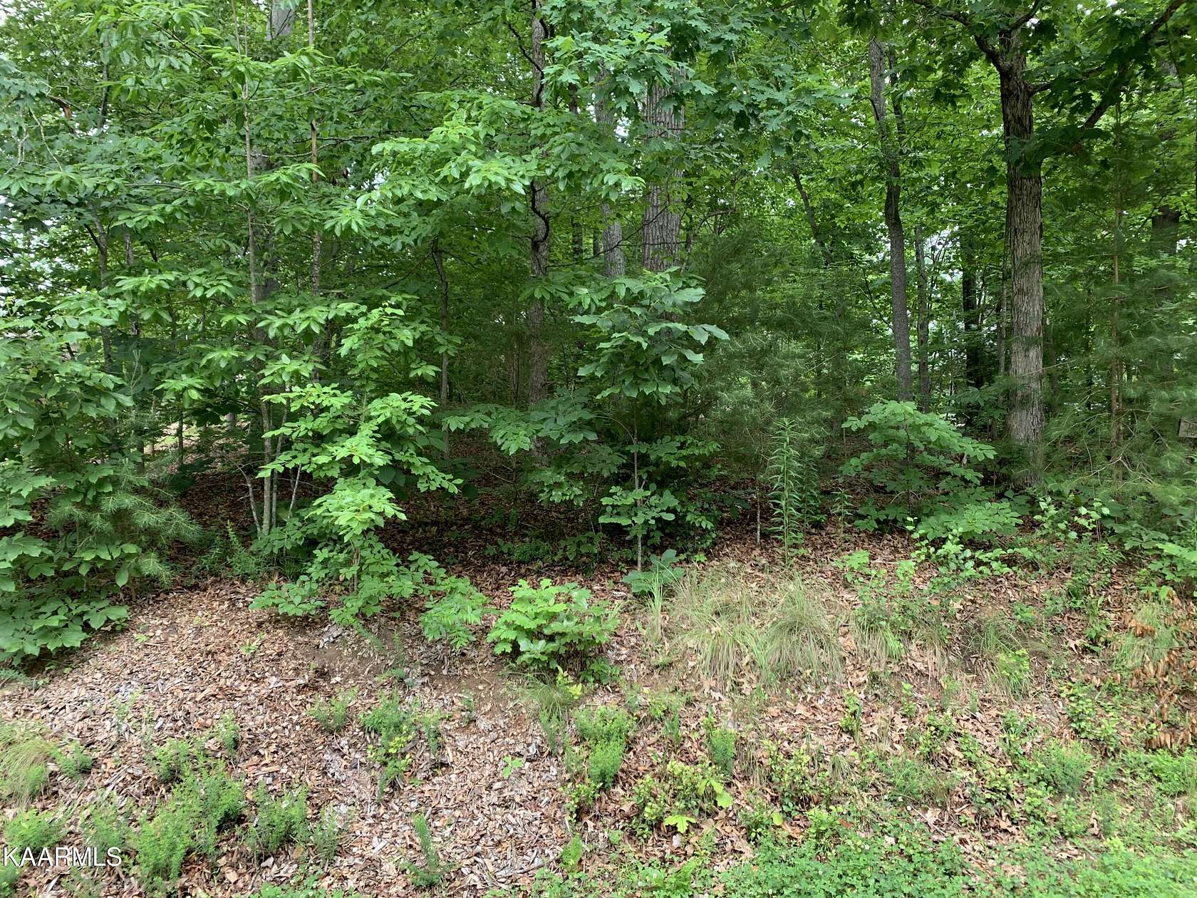 0.25 Acres of Residential Land for Sale in Loudon, Tennessee