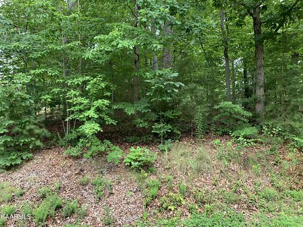 0.25 Acres of Residential Land for Sale in Loudon, Tennessee