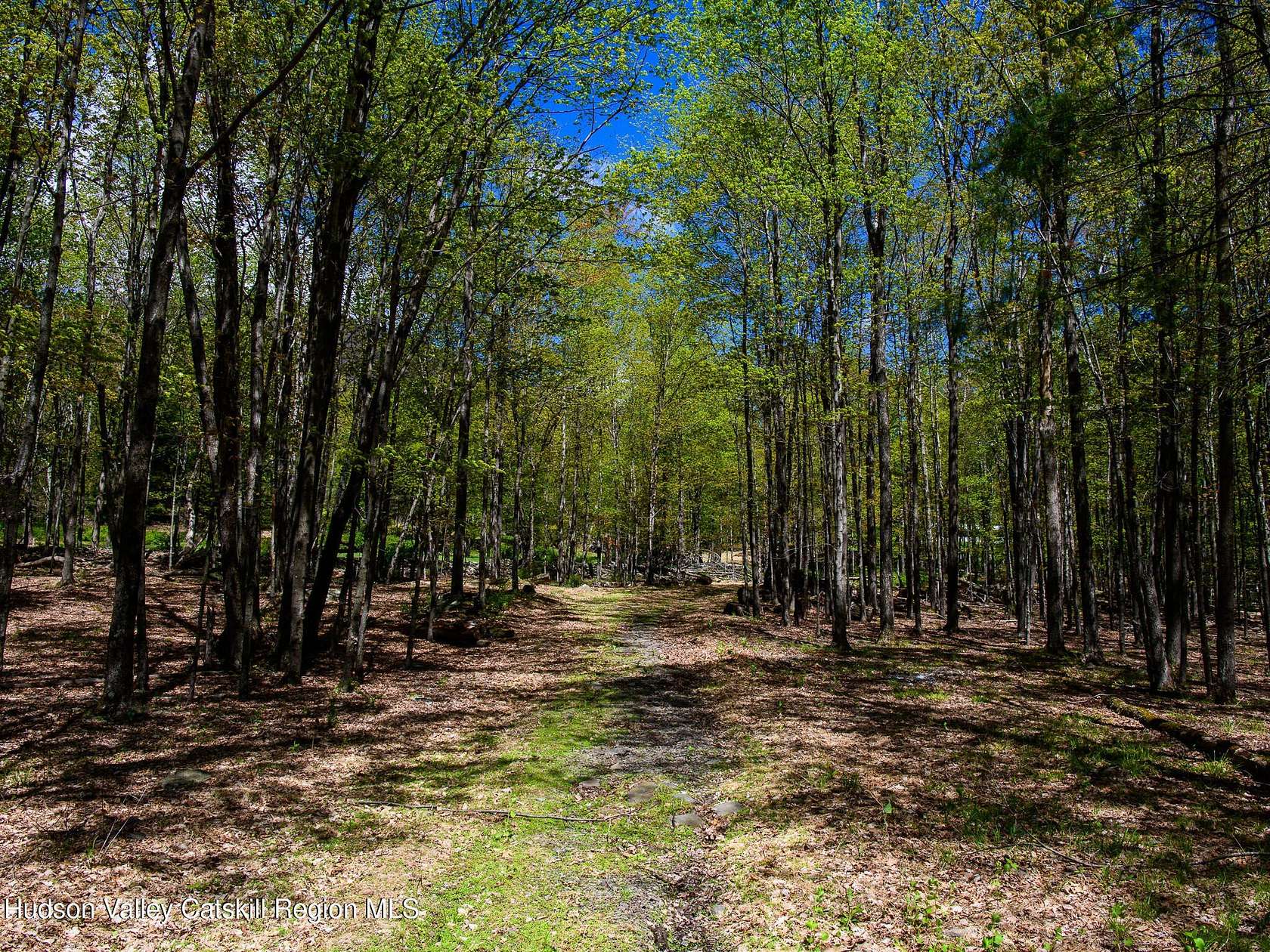 9 Acres of Residential Land for Sale in Olivebridge, New York