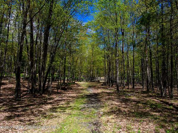 9 Acres of Residential Land for Sale in Olivebridge, New York