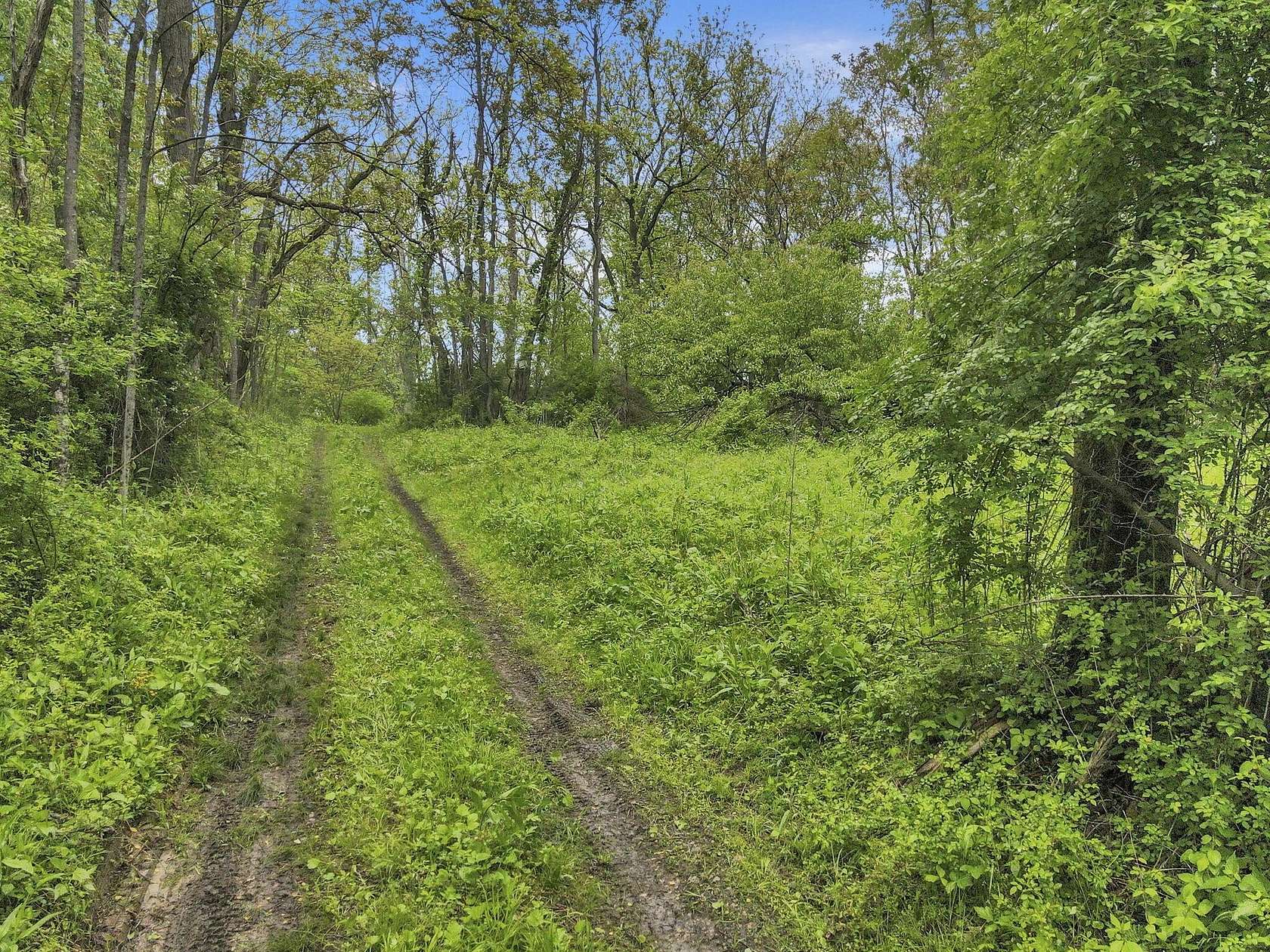 160 Acres of Recreational Land for Sale in Logan, Ohio