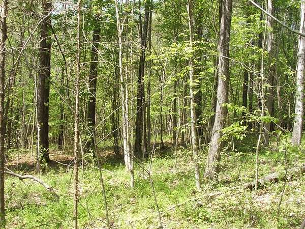 12.4 Acres of Land for Sale in Saxe, Virginia