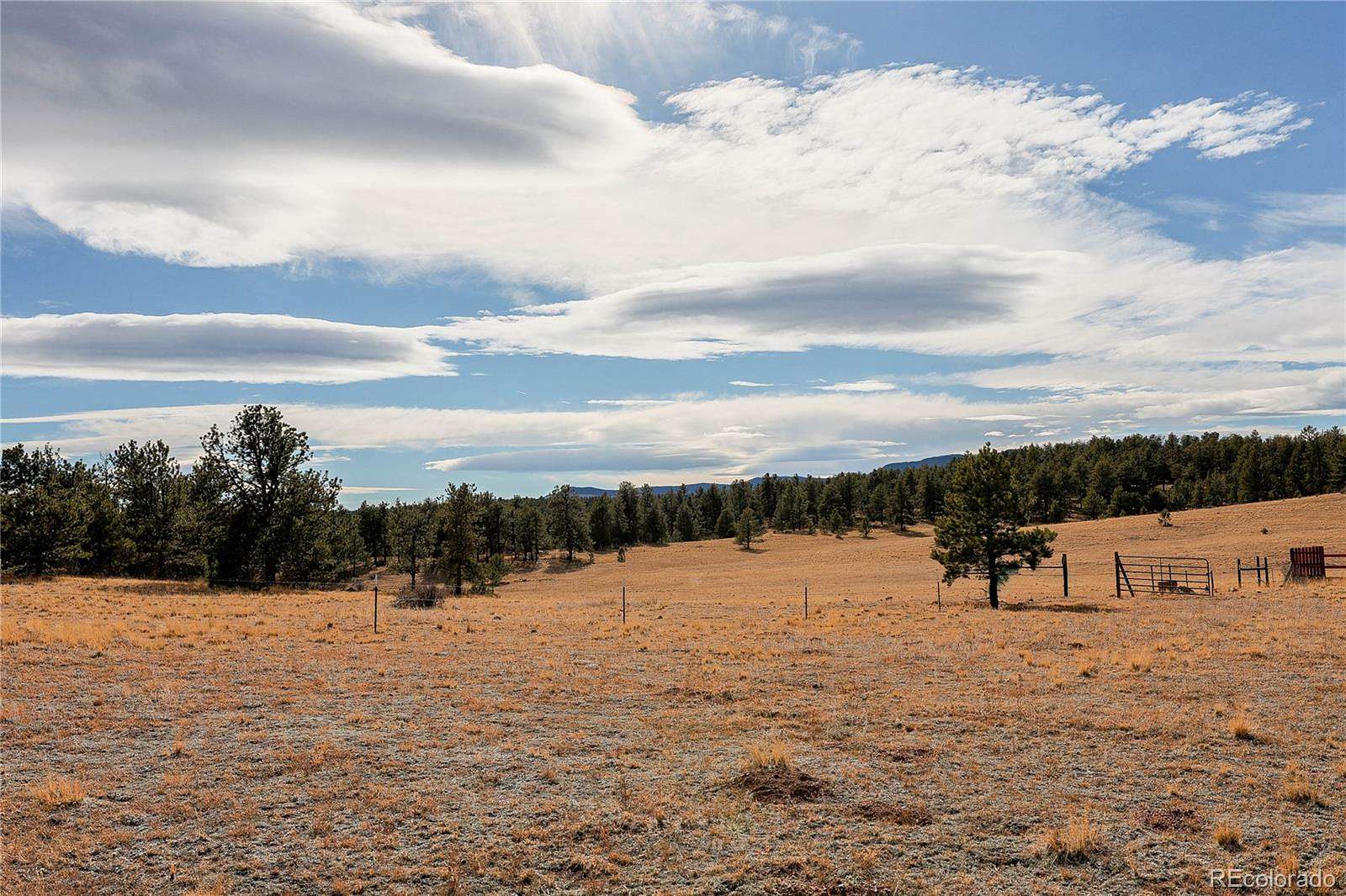 30 Acres of Land for Sale in Guffey, Colorado