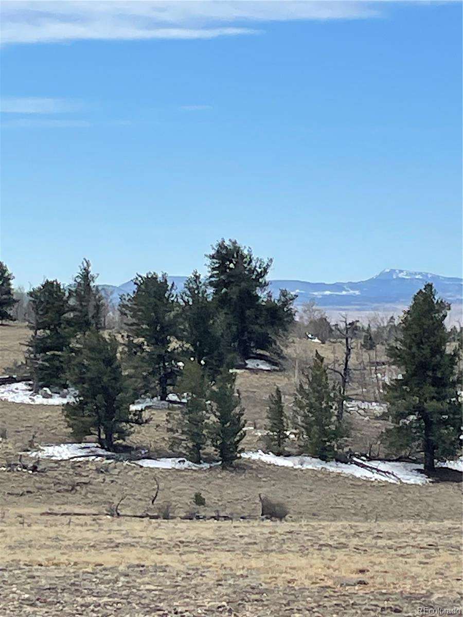 10 Acres of Recreational & Residential Land for Sale in Hartsel, Colorado