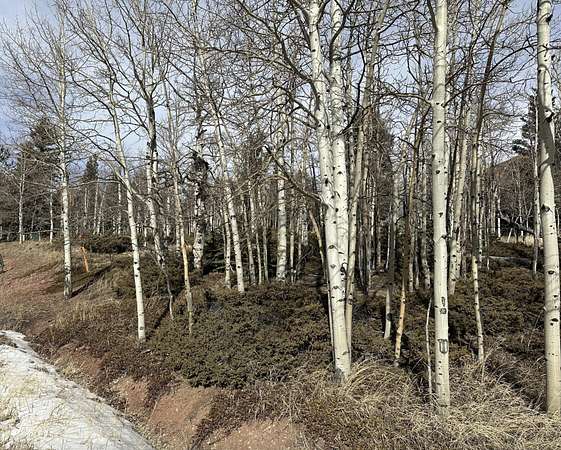 0.33 Acres of Land for Sale in Cuchara, Colorado