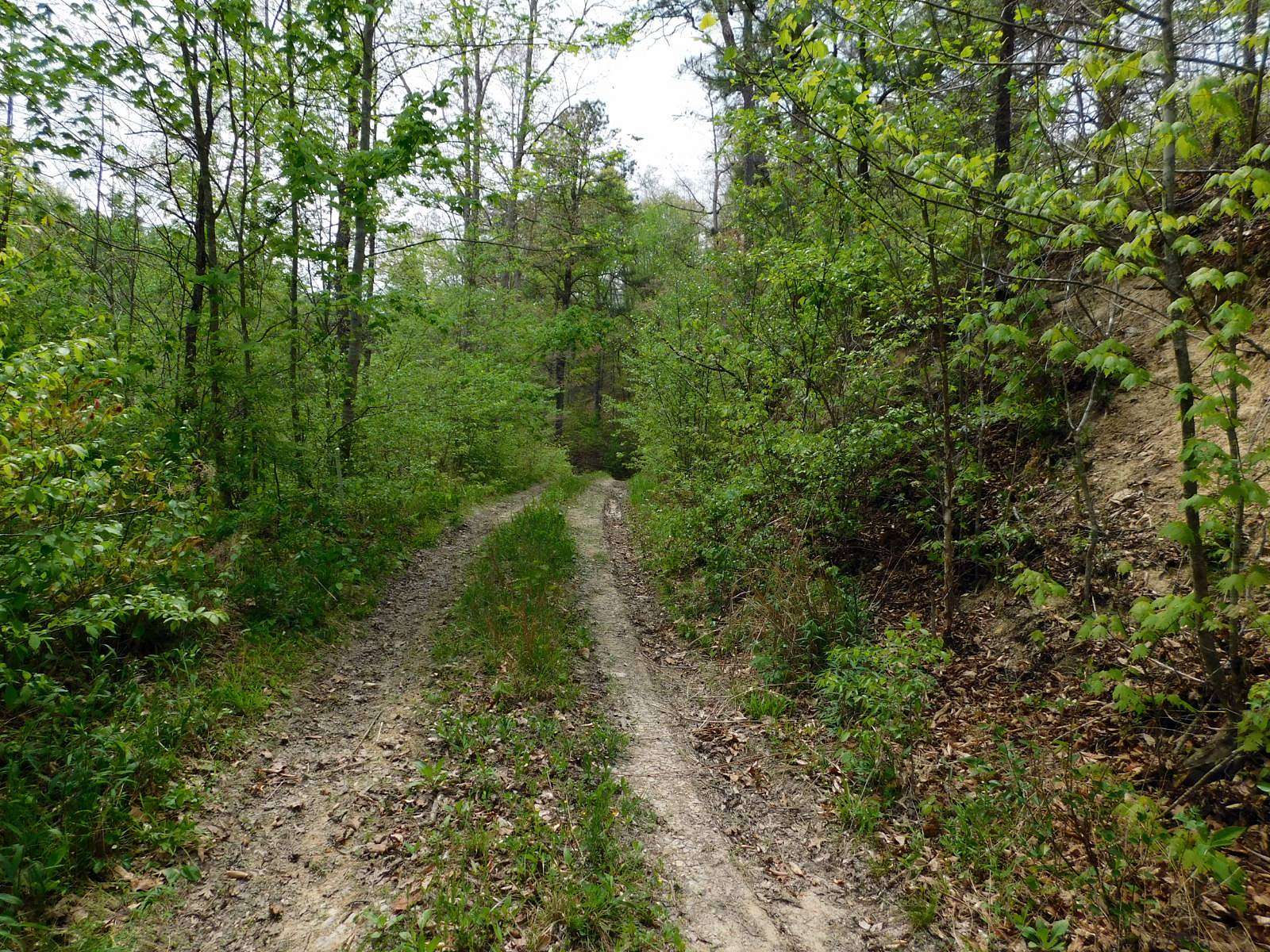 79 Acres of Recreational Land for Sale in Salyersville, Kentucky
