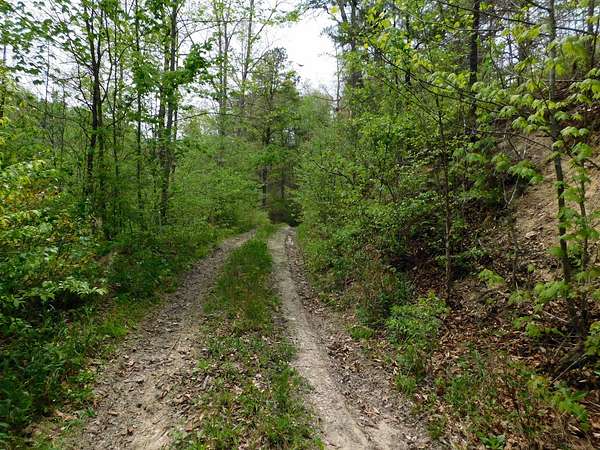 79 Acres of Recreational Land for Sale in Salyersville, Kentucky