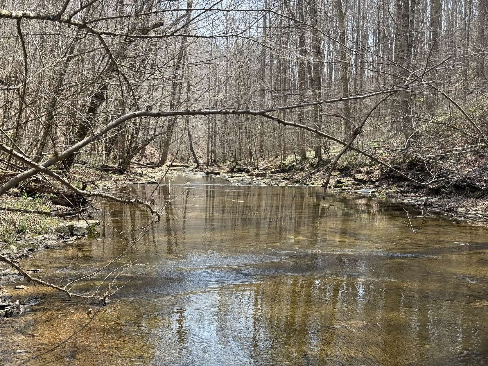 127 Acres of Land for Sale in Monroe, Tennessee