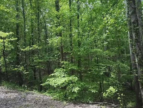 0.34 Acres of Residential Land for Sale in Saulsbury, Tennessee
