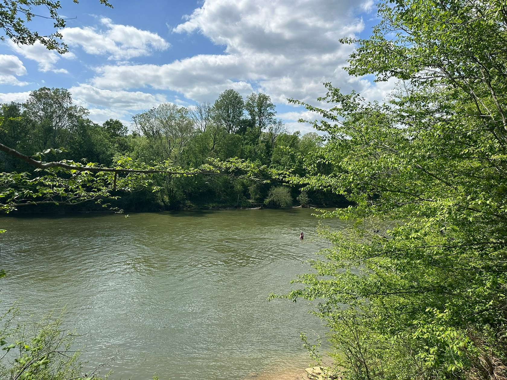 17.7 Acres of Land for Auction in Elmwood, Tennessee