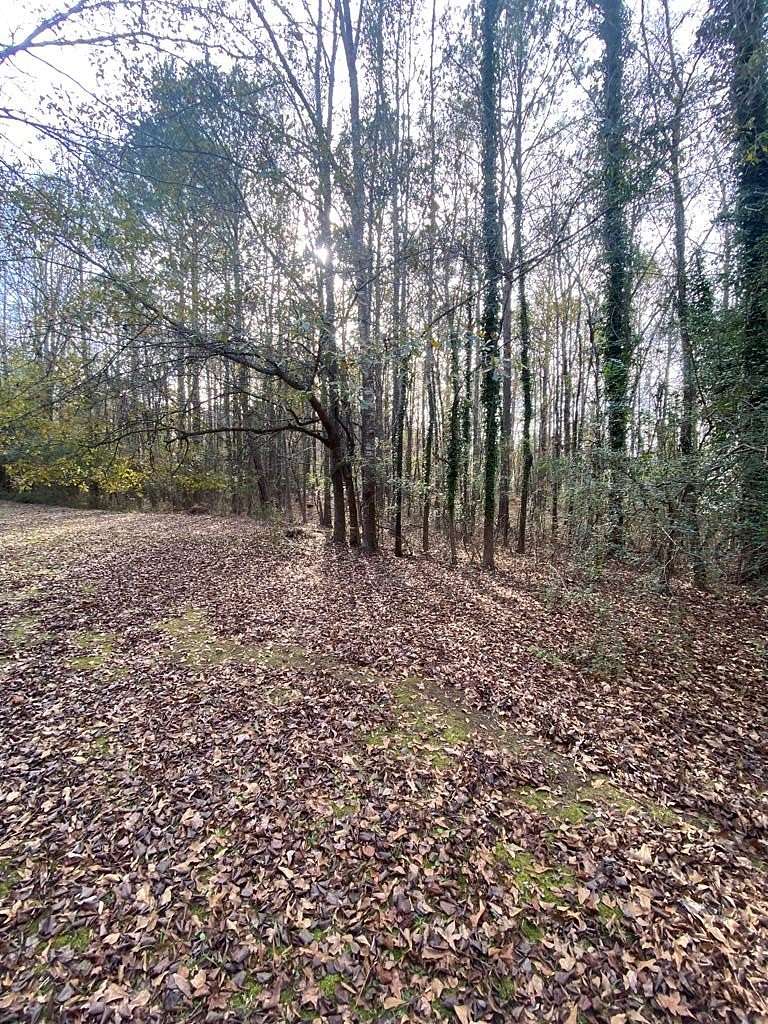 2 Acres of Residential Land for Sale in Cataula, Georgia