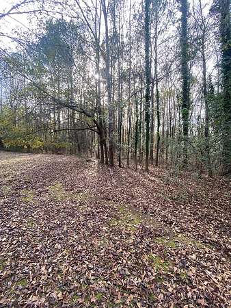 2 Acres of Residential Land for Sale in Cataula, Georgia