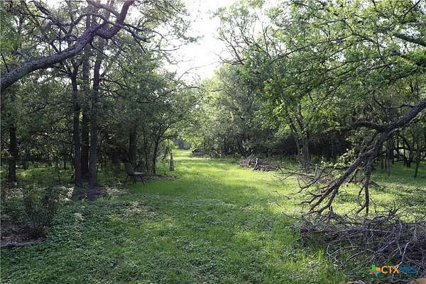 10 Acres of Land for Sale in Dale, Texas