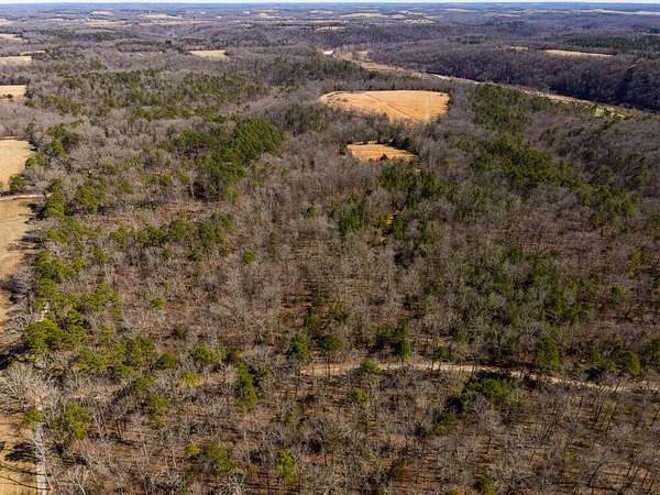 130 Acres of Recreational Land for Sale in Dora, Missouri