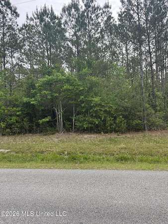 3 Acres of Residential Land for Sale in Picayune, Mississippi