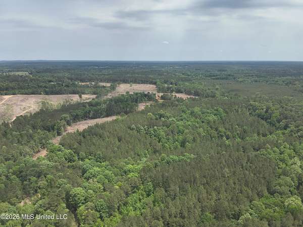 113 Acres of Recreational & Residential Land for Sale in Pulaski, Mississippi