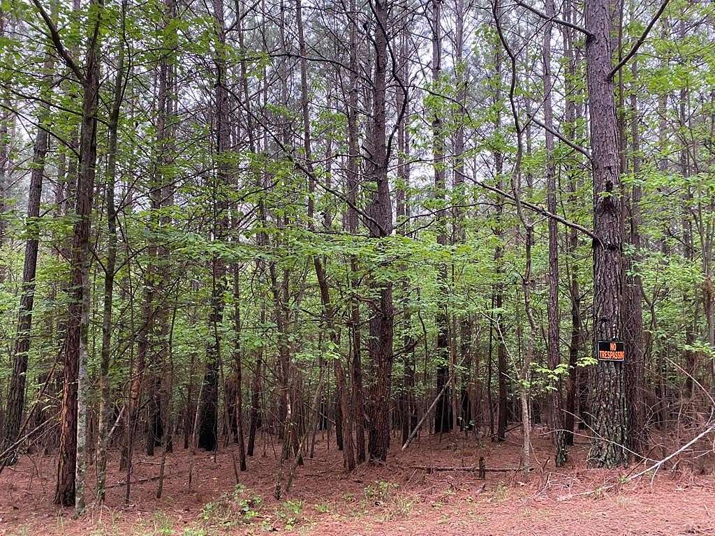 2.74 Acres of Residential Land for Sale in Mineral Bluff, Georgia