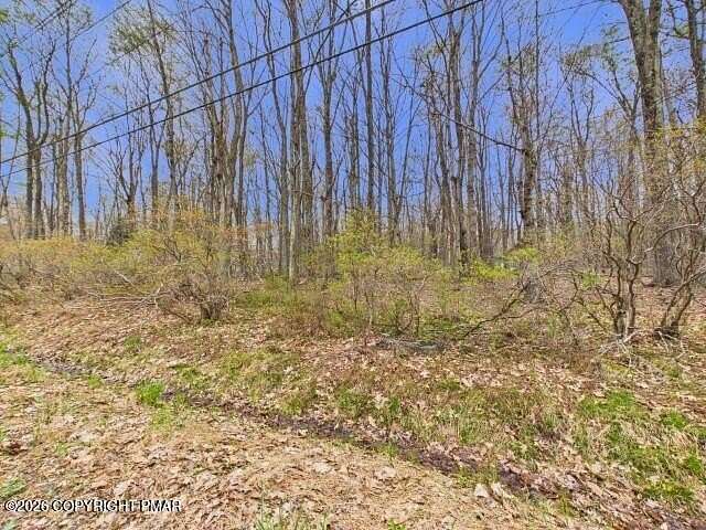 0.38 Acres of Residential Land for Sale in Pocono Lake, Pennsylvania
