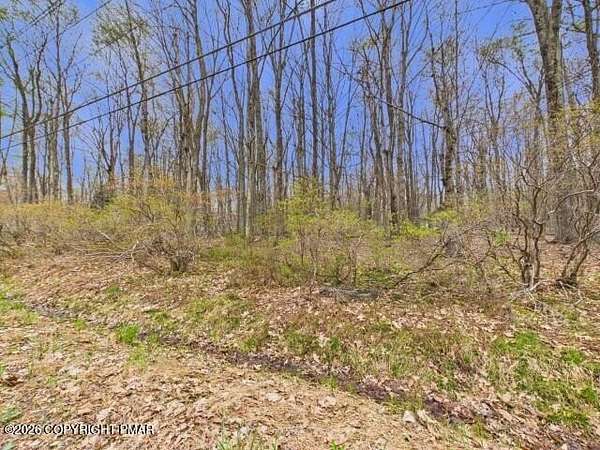 0.38 Acres of Residential Land for Sale in Pocono Lake, Pennsylvania