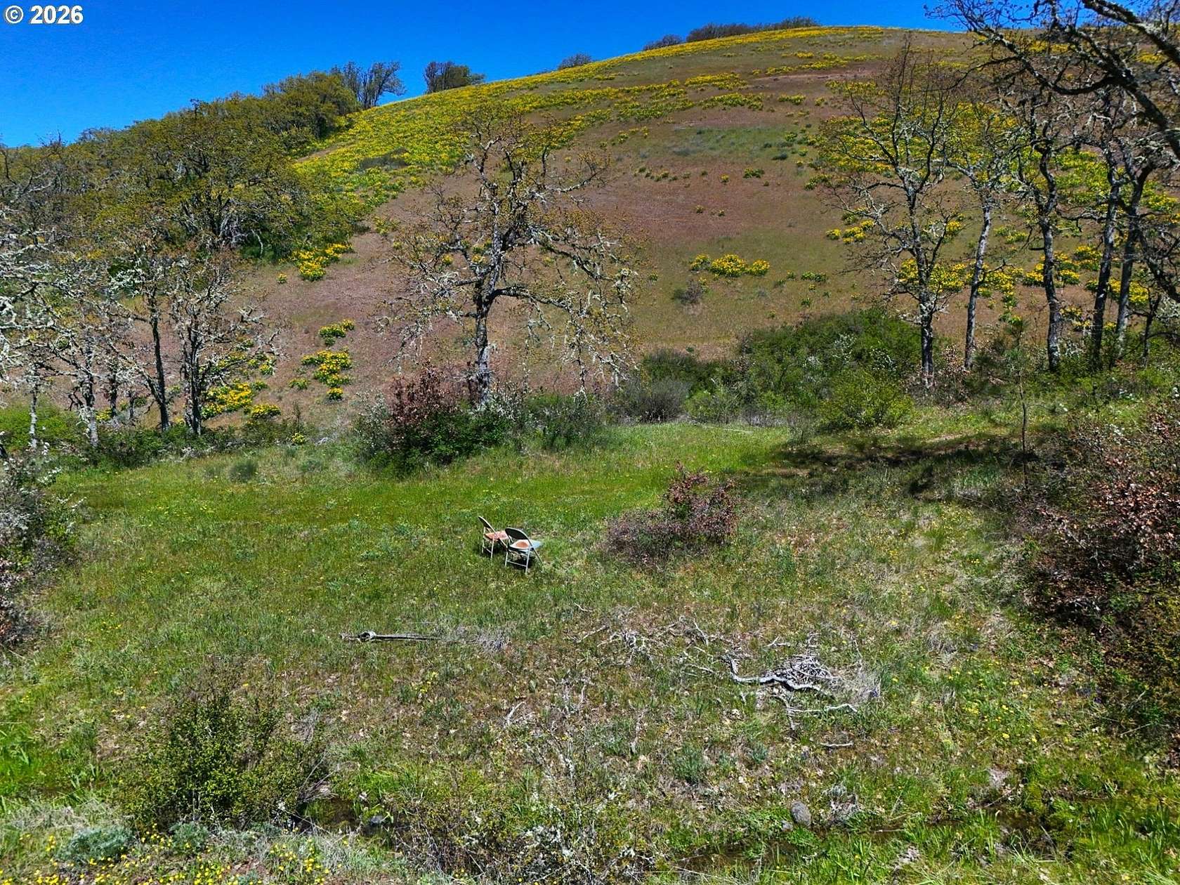 20 Acres of Recreational Land for Sale in Lyle, Washington