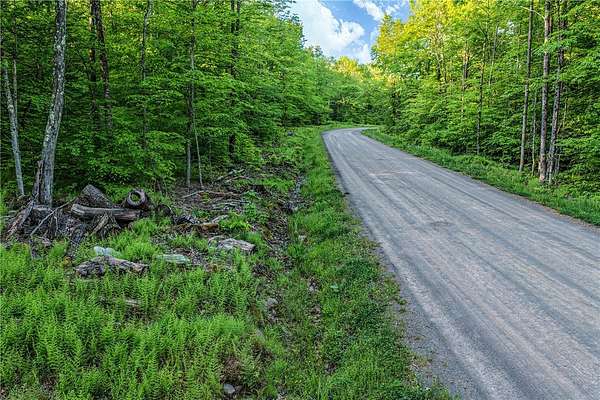 138 Acres of Recreational & Residential Land for Sale in Oneonta, New York