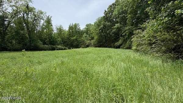 83.6 Acres of Land for Sale in Cedar Grove, Tennessee