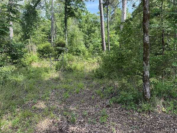 19.5 Acres of Recreational & Residential Land for Sale in Rusk, Texas