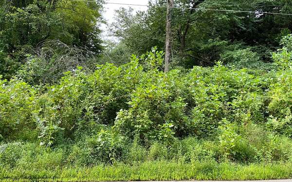0.39 Acres of Land for Sale in Hayesville, North Carolina