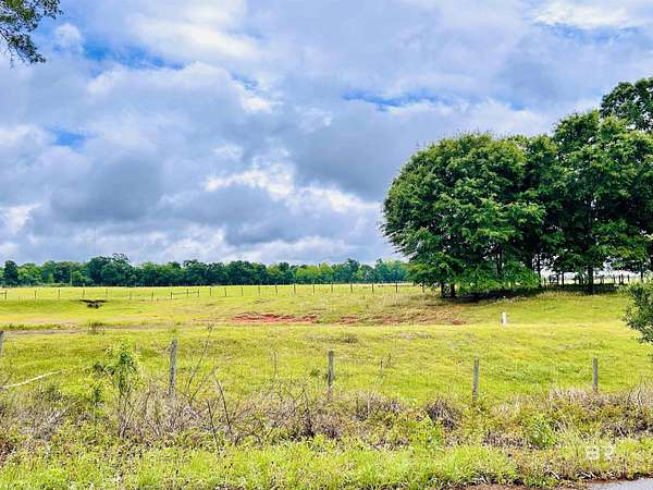 16 Acres of Land for Sale in Brewton, Alabama