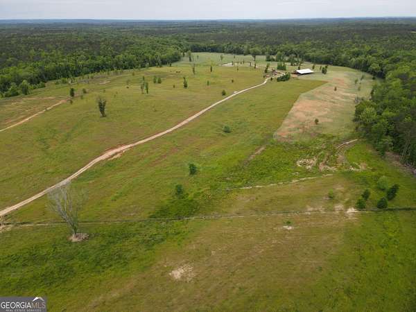 161 Acres of Land for Sale in Roberta, Georgia
