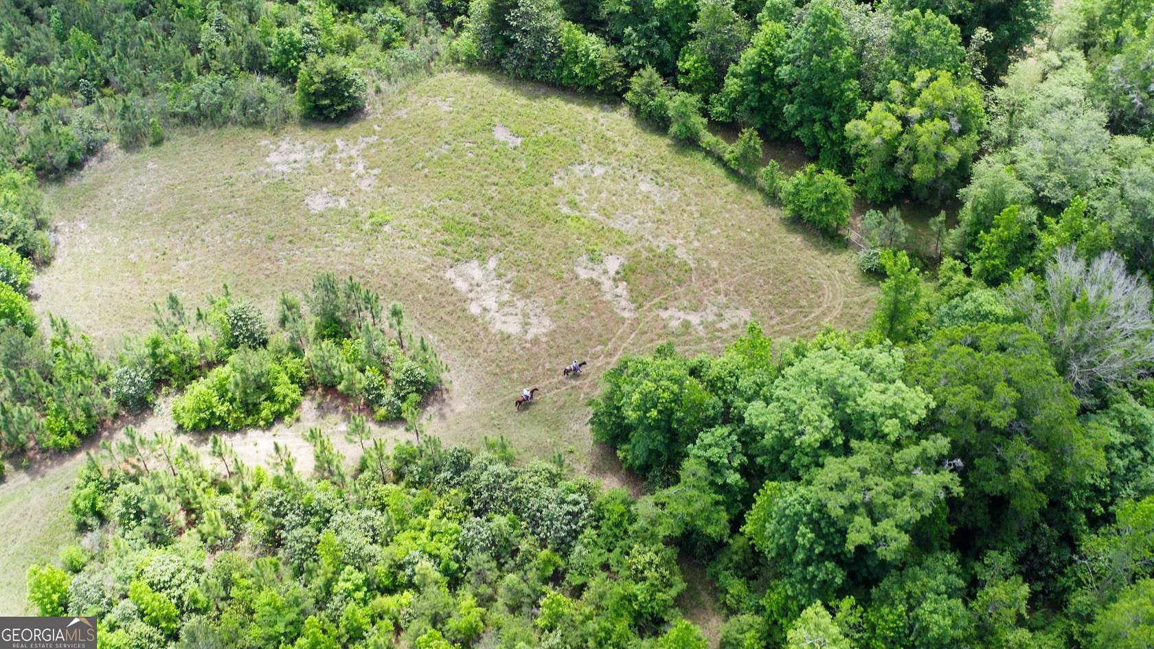 192 Acres of Recreational Land for Sale in Abbeville, Alabama