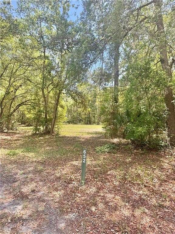 0.65 Acres of Residential Land for Sale in Townsend, Georgia