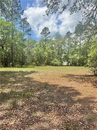 0.65 Acres of Residential Land for Sale in Townsend, Georgia