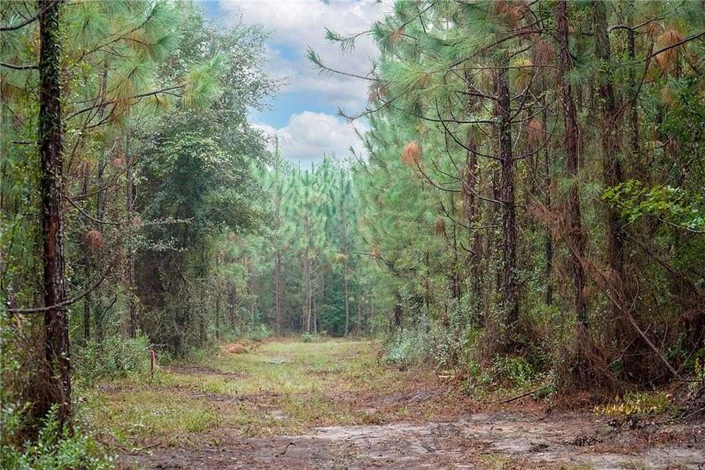 10 Acres of Land for Sale in Townsend, Georgia