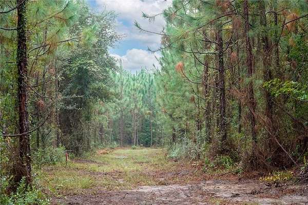 10 Acres of Land for Sale in Townsend, Georgia