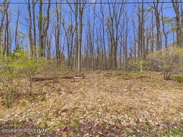 0.39 Acres of Residential Land for Sale in Pocono Lake, Pennsylvania