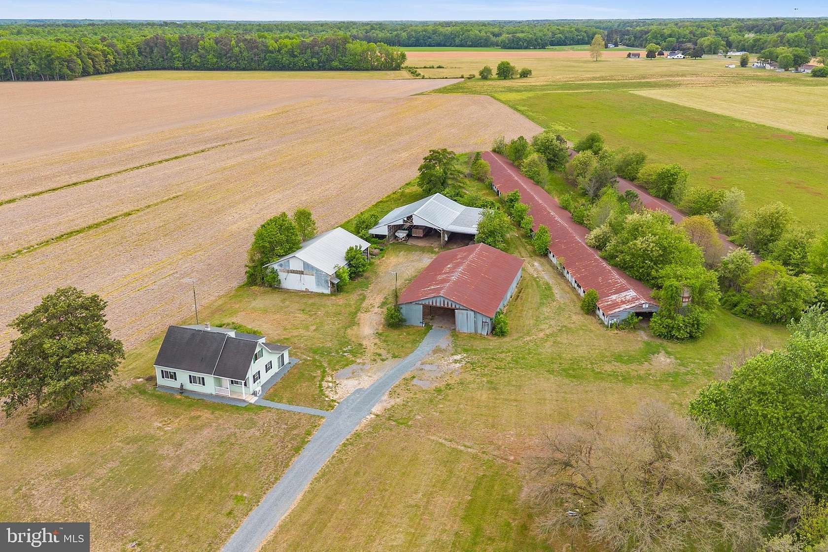 17.4 Acres of Land with Home for Sale in Federalsburg, Maryland