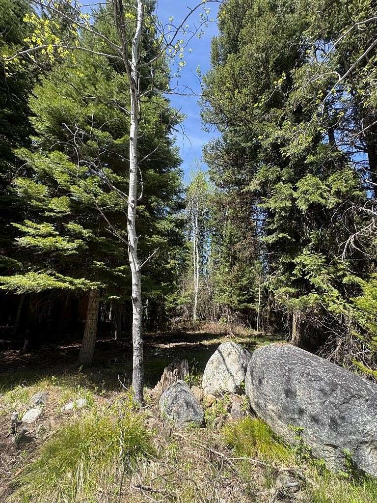 0.23 Acres of Residential Land for Sale in McCall, Idaho