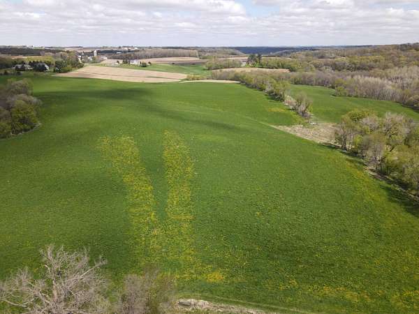 15.3 Acres of Recreational & Residential Land for Sale in Mazeppa, Minnesota