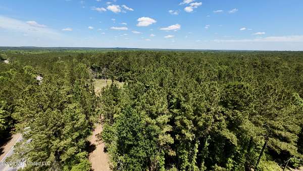 4 Acres of Residential Land for Sale in Braxton, Mississippi