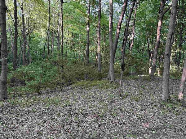 5 Acres of Residential Land for Sale in Haubstadt, Indiana