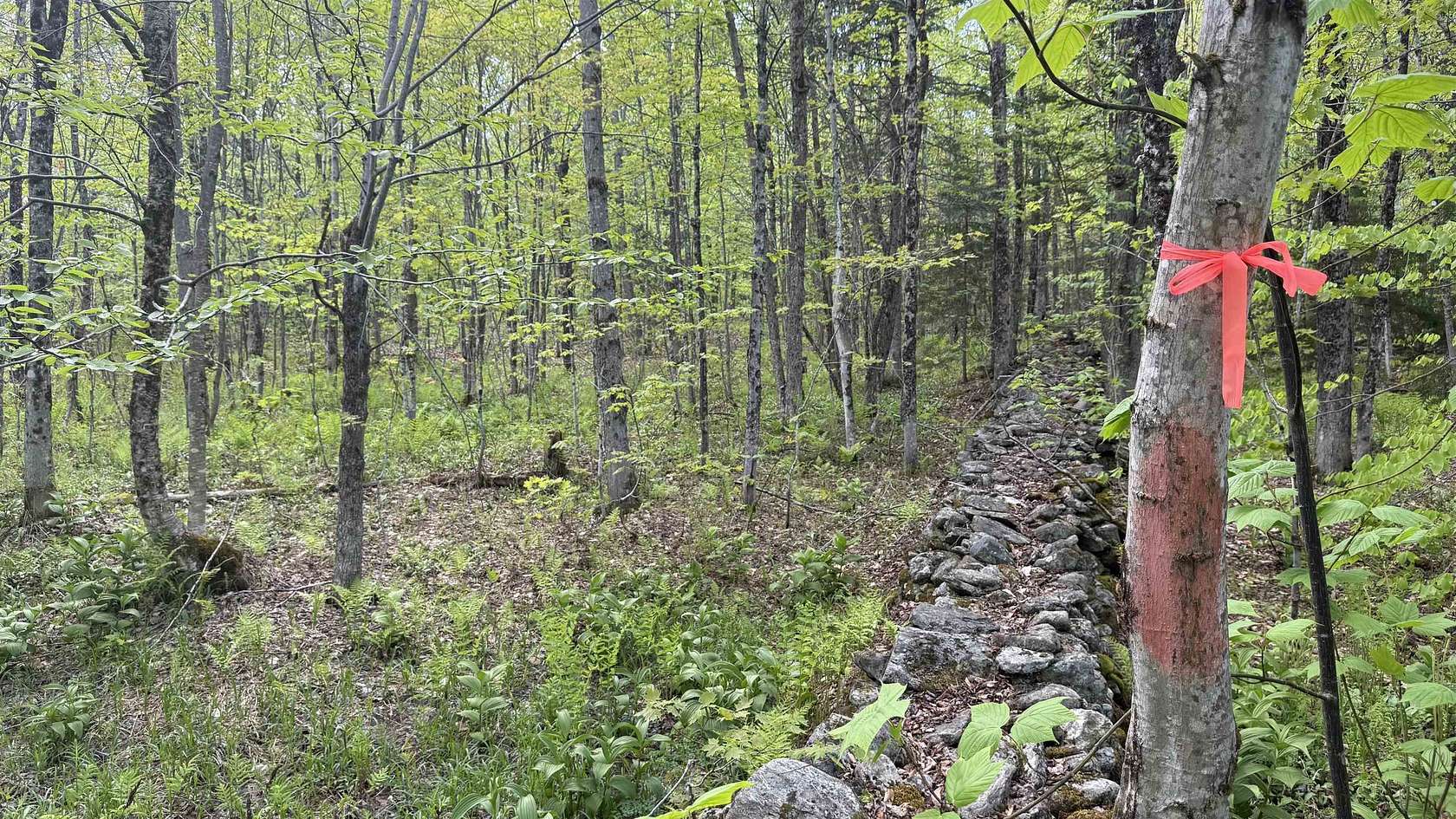 40 Acres of Recreational Land for Sale in Lowell, Vermont