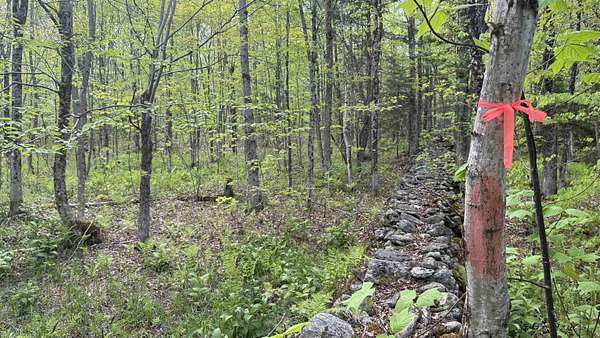 40 Acres of Recreational Land for Sale in Lowell, Vermont