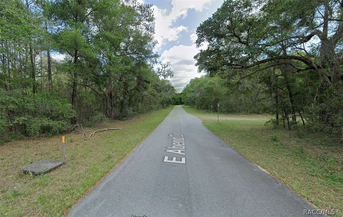 0.29 Acres of Land for Sale in Citrus Springs, Florida