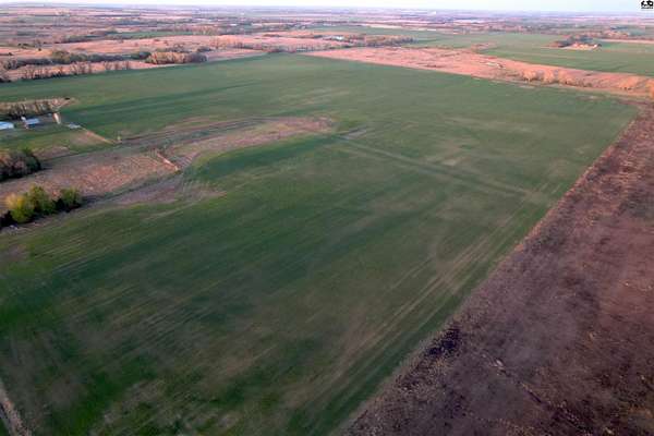 140 Acres of Agricultural Land for Sale in Kingman, Kansas