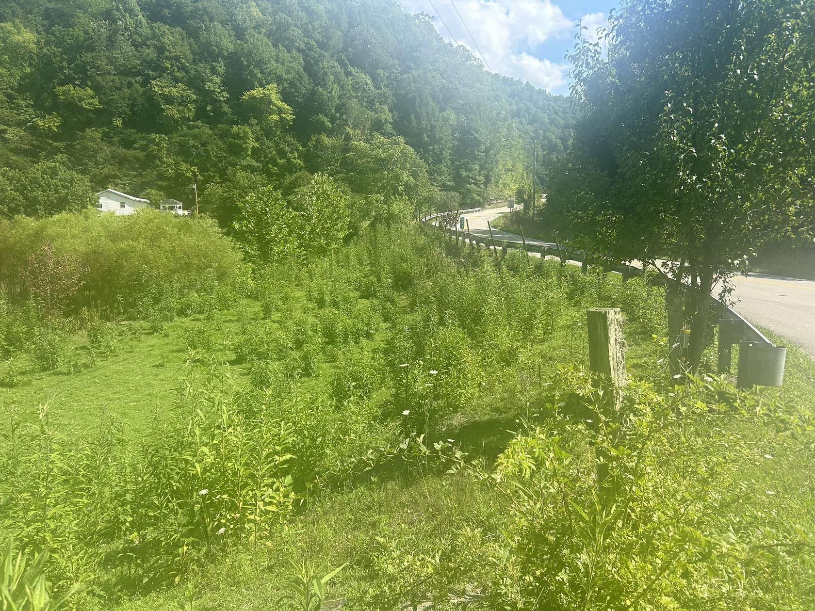 2 Acres of Land for Sale in Oneida, Kentucky