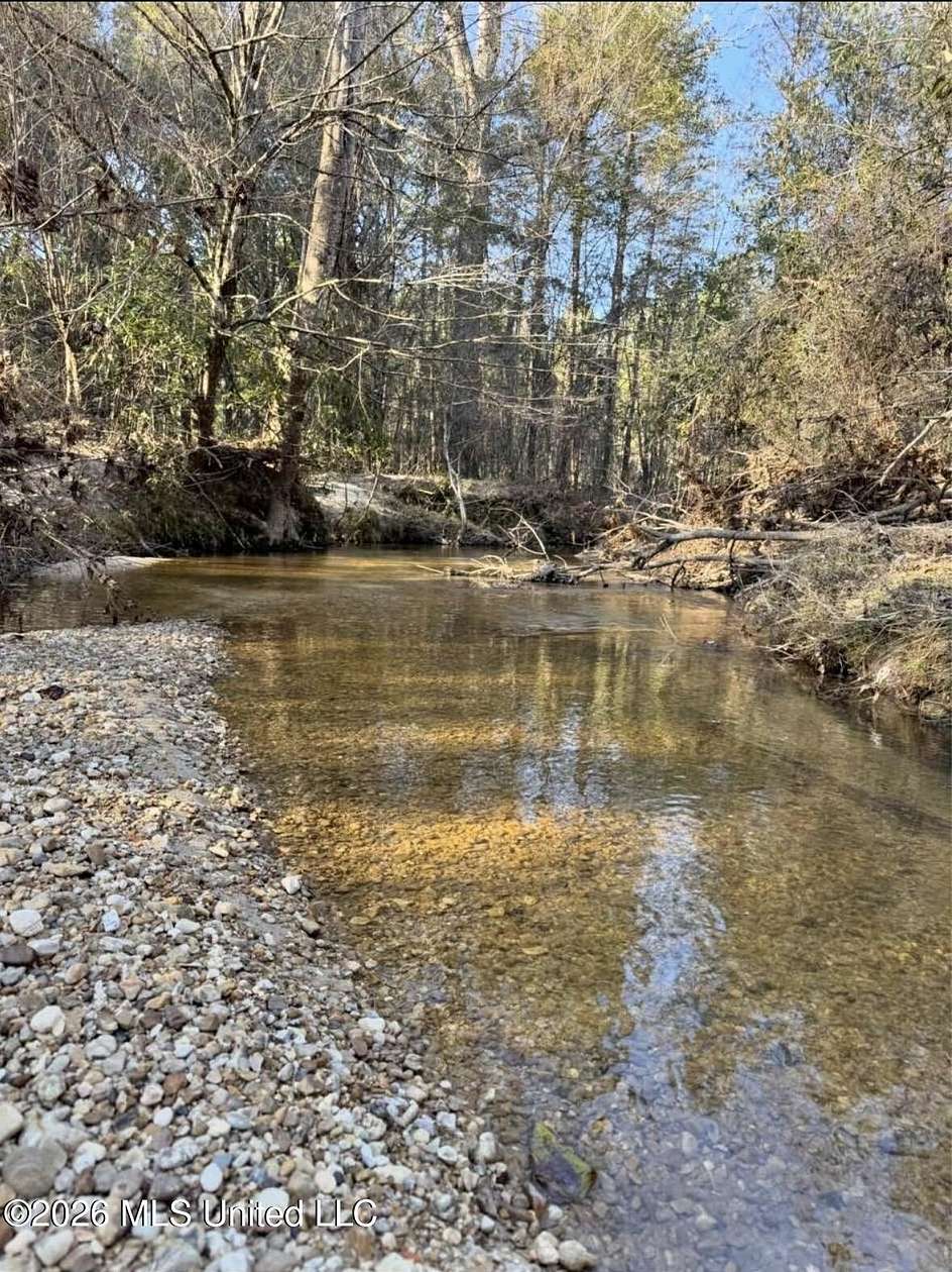 50 Acres of Recreational Land for Sale in Brookhaven, Mississippi
